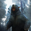 Old Bear