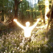 一叶秋风送佳人