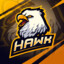 Hawk-Eye