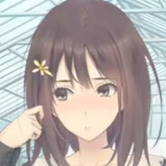 真的不由你无理取闹