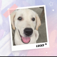 小张很爱玩游戏