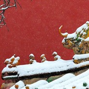 我驓·雪中悍刀行