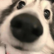 我知道你还是爱着我