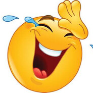 котик обосрался