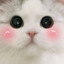 pomash&#039;