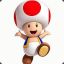 Toad.Bros.wH