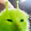 Glorp