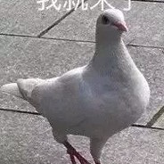 起狙必白给，别让我碰