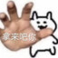 沙仁狂魔一休哥