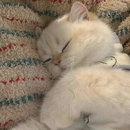 我的小鱼你醒了