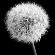 ♥Juiop• - steam id 76561198149300517