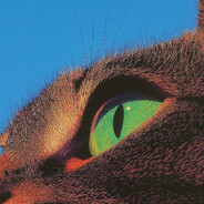 Katx