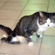 Jesus Christ Superslut