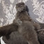 PlushaCat