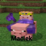 Maciek