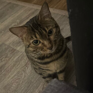 ¯⁠\⁠(⁠°⁠_⁠o⁠)⁠/