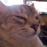 徒手捏爆仙人掌