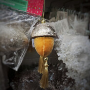 дундучок ZVO