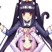 十根萝卜一个坑