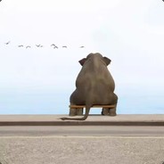 pupupu