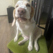 Помидор31😶‍🌫