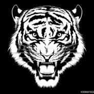 _{DaViDeK}_