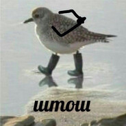 xXxTOJl9HxXx