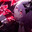 -Thund3r-