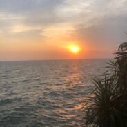 人生南北多歧路