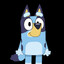Bluey!