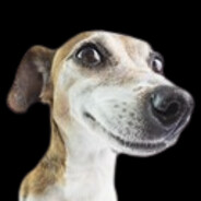 AkaDoggo
