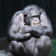 Руины 02 | DeuPlayer