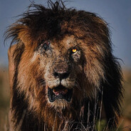 героиновый милкшейк - steam id 76561198946319293