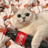 宇智波带土[忍界大战]