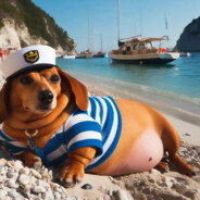 королева мира