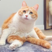 你敬爱的老父亲