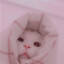 zucookie