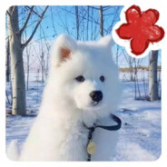 小李同学好好想想