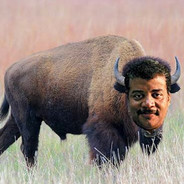 Neil Degrasse Bison