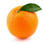 橙子(Orange)