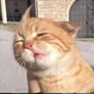 中国第一负二代