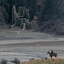 dunedaiN