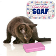 SoapySudz