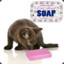 [blue]Kitty[red]Soap