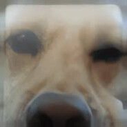 icewyy