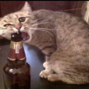 писюкастый злыди