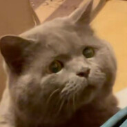 每一天都有不同快乐