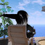 NightWolf_f