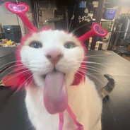 abinator Steam avatar