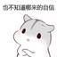 哈基耗你这家伙